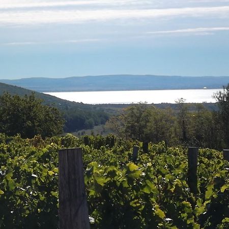 Juhfark Fogado Es Borhaz Bed & Breakfast Balatoncsicso Bagian luar foto