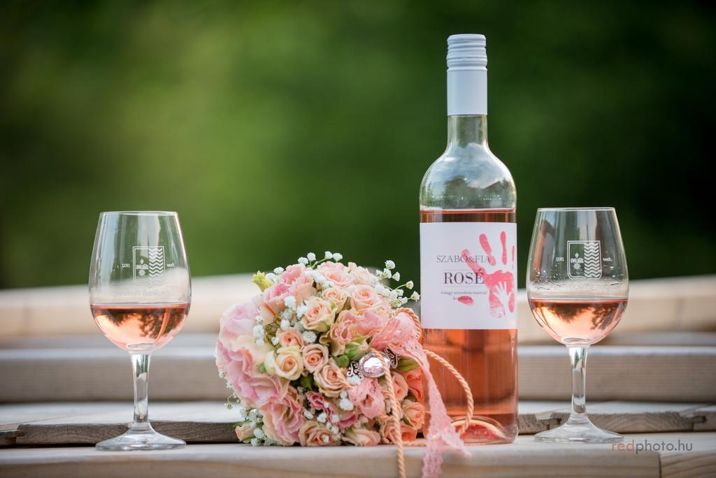 Juhfark Fogado Es Borhaz Bed & Breakfast Balatoncsicso Bagian luar foto