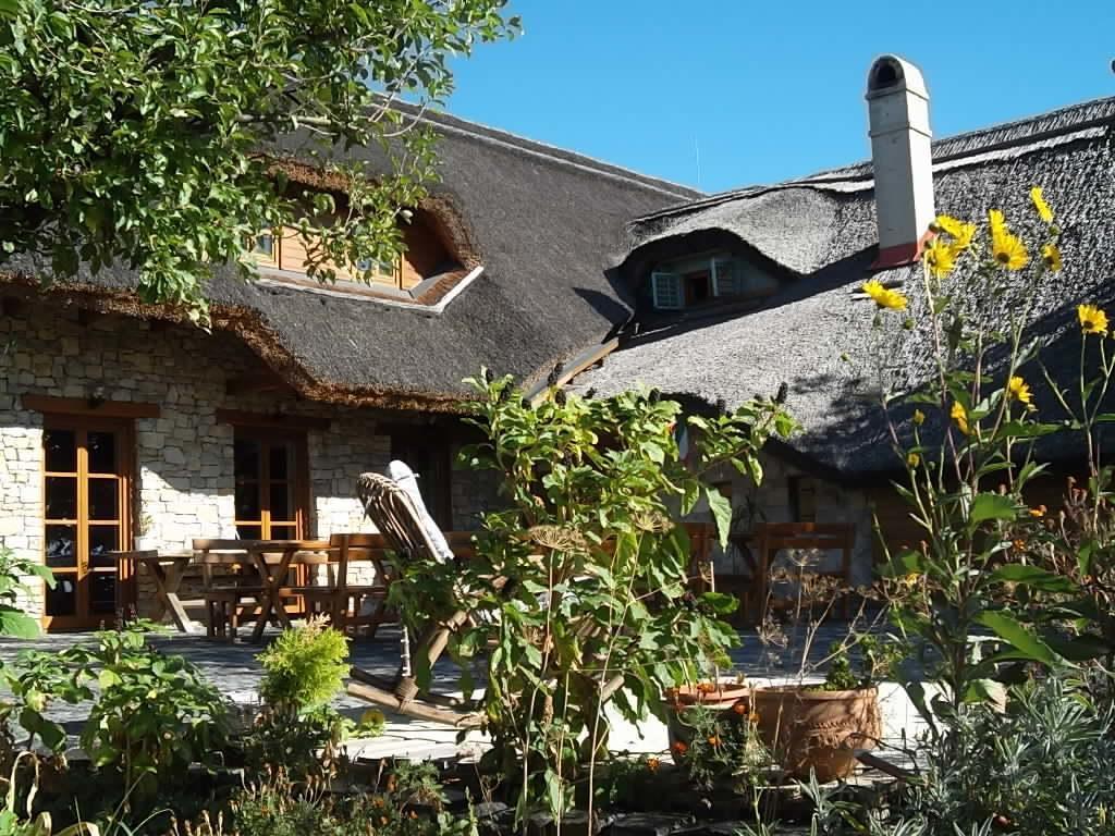 Juhfark Fogado Es Borhaz Bed & Breakfast Balatoncsicso Bagian luar foto